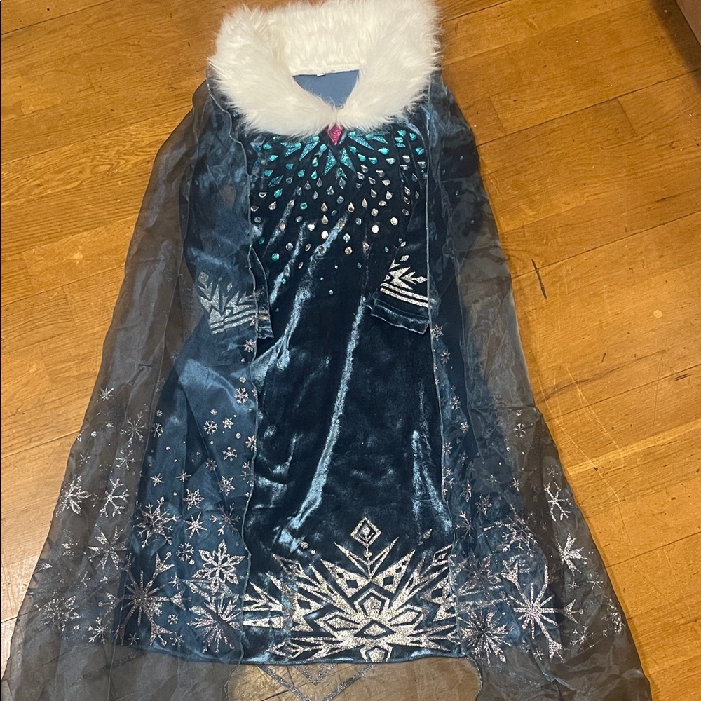 Ice princess NWOT